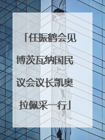 任振鹤会见博茨瓦纳国民议会议长凯奥拉佩采一行