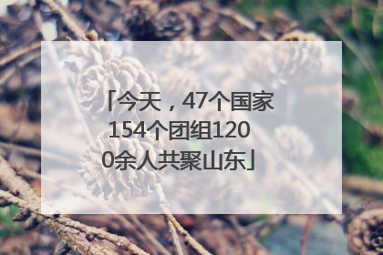 今天,47个国家154个团组1200余人共聚山东