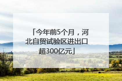 今年前5个月，河北自贸试验区进出口超300亿元