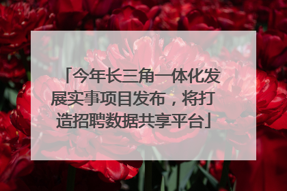 今年长三角一体化发展实事项目发布，将打造招聘数据共享平台