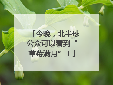 今晚，北半球公众可以看到“草莓满月”！