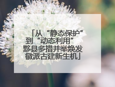 从“静态保护”到“动态利用” 黟县多措并举焕发徽派古建新生机