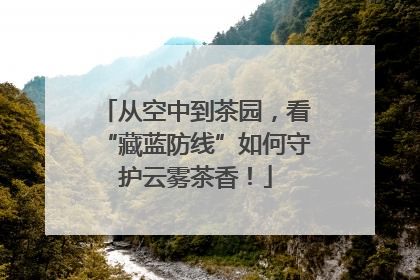 从空中到茶园，看“藏蓝防线”如何守护云雾茶香！