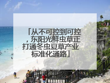 从不可控到可控，东阳光鲜虫草正打通冬虫夏草产业标准化通路