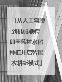 从人工弯腰到机械驰骋 即墨蓝村水稻种植开启智能农耕新模式