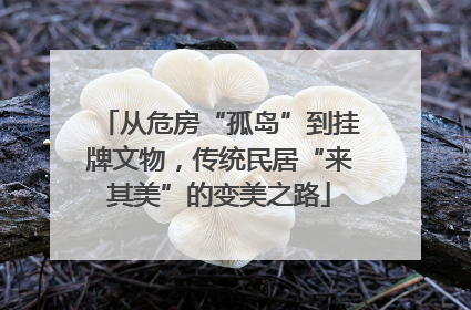 从危房“孤岛”到挂牌文物，传统民居“来其美”的变美之路