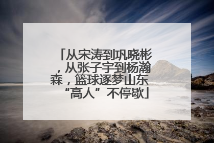 从宋涛到巩晓彬，从张子宇到杨瀚森，篮球逐梦山东“高人”不停歇