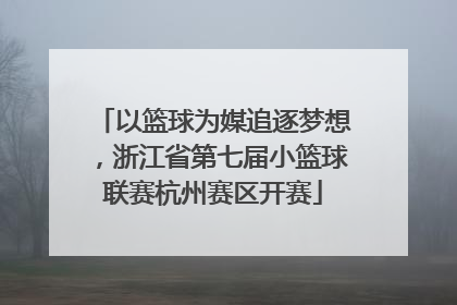 以篮球为媒追逐梦想，浙江省第七届小篮球联赛杭州赛区开赛