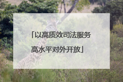 以高质效司法服务高水平对外开放
