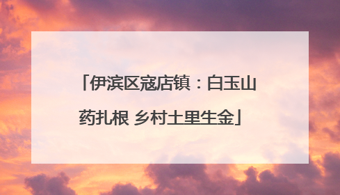 伊滨区寇店镇：白玉山药扎根 乡村土里生金