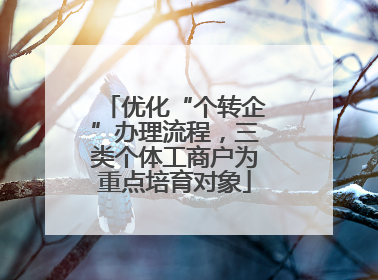 优化“个转企”办理流程，三类个体工商户为重点培育对象