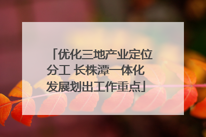 优化三地产业定位分工 长株潭一体化发展划出工作重点