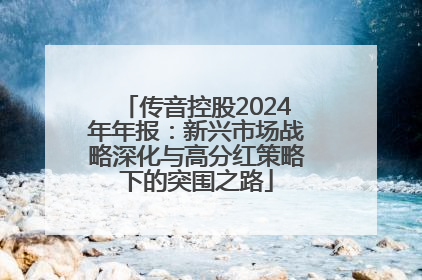传音控股2024年年报：新兴市场战略深化与高分红策略下的突围之路