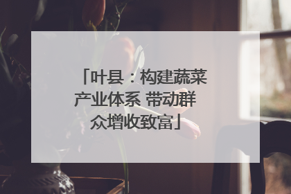 叶县：构建蔬菜产业体系 带动群众增收致富