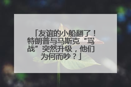 友谊的小船翻了！特朗普与马斯克“骂战”突然升级，他们为何而吵？