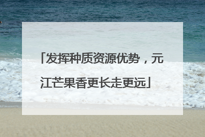 发挥种质资源优势，元江芒果香更长走更远