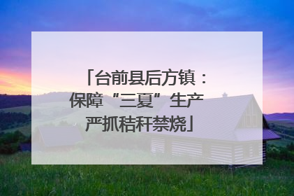 台前县后方镇：保障“三夏”生产 严抓秸秆禁烧