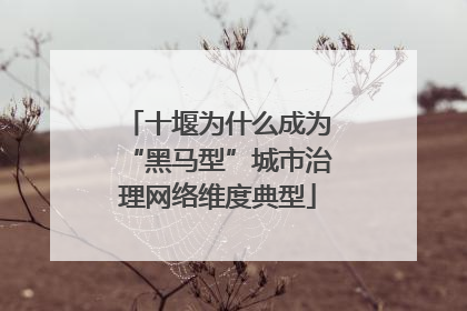 十堰为什么成为“黑马型”城市治理网络维度典型