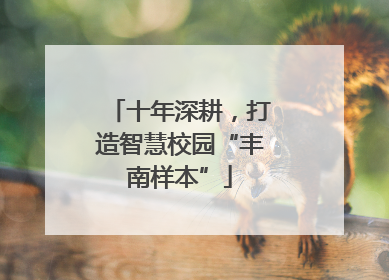十年深耕，打造智慧校园“丰南样本”
