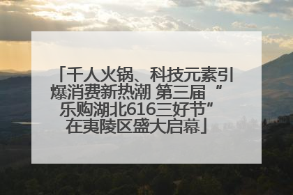 千人火锅、科技元素引爆消费新热潮 第三届“乐购湖北616三好节”在夷陵区盛大启幕