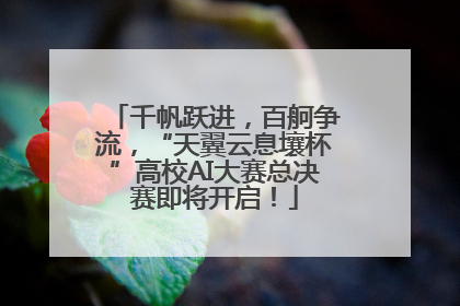 千帆跃进，百舸争流，“天翼云息壤杯”高校AI大赛总决赛即将开启！