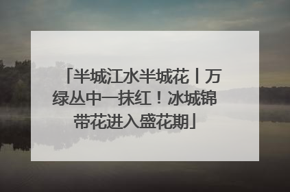 半城江水半城花丨万绿丛中一抹红！冰城锦带花进入盛花期