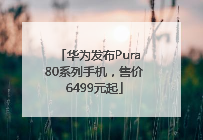 华为发布Pura80系列手机，售价6499元起