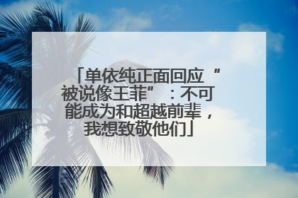 单依纯正面回应“被说像王菲”：不可能成为和超越前辈，我想致敬他们