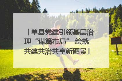 单县党建引领基层治理“谋篇布局” 绘就共建共治共享新图景