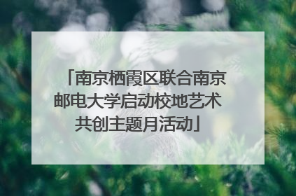 南京栖霞区联合南京邮电大学启动校地艺术共创主题月活动