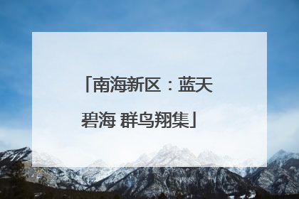 南海新区：蓝天碧海 群鸟翔集
