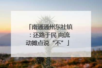 南通通州东社镇：还路于民 向流动摊点说“不”