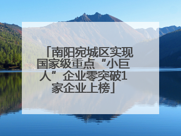 南阳宛城区实现国家级重点“小巨人”企业零突破1家企业上榜