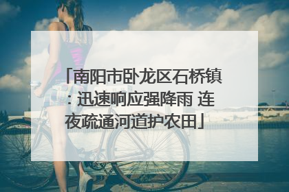 南阳市卧龙区石桥镇：迅速响应强降雨 连夜疏通河道护农田