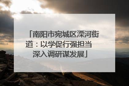 南阳市宛城区溧河街道：以学促行强担当 深入调研谋发展