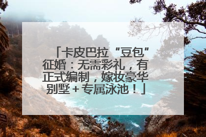 卡皮巴拉“豆包”征婚：无需彩礼，有正式编制，嫁妆豪华别墅＋专属泳池！
