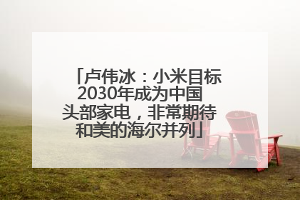 卢伟冰：小米目标2030年成为中国头部家电，非常期待和美的海尔并列