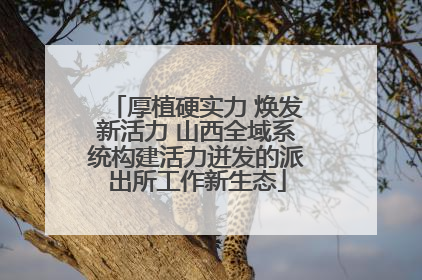 厚植硬实力 焕发新活力 山西全域系统构建活力迸发的派出所工作新生态