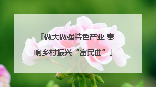 做大做强特色产业 奏响乡村振兴“富民曲”