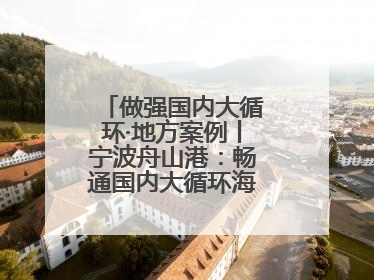做强国内大循环·地方案例丨宁波舟山港：畅通国内大循环海铁联运走天下