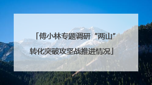 傅小林专题调研“两山”转化突破攻坚战推进情况