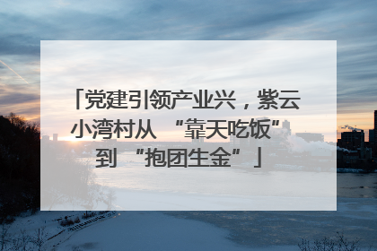 党建引领产业兴，紫云小湾村从 “靠天吃饭” 到 “抱团生金”