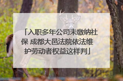 入职多年公司未缴纳社保 成都大邑法院依法维护劳动者权益这样判