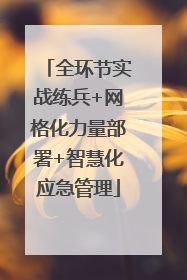全环节实战练兵+网格化力量部署+智慧化应急管理