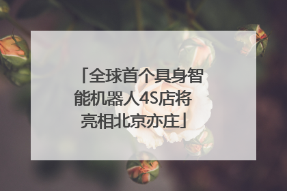 全球首个具身智能机器人4S店将亮相北京亦庄