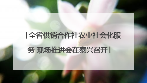 全省供销合作社农业社会化服务 现场推进会在泰兴召开