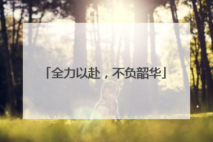全力以赴，不负韶华