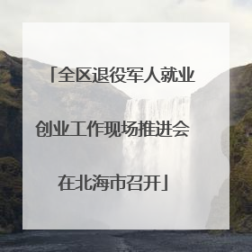 全区退役军人就业创业工作现场推进会在北海市召开