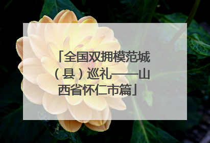 全国双拥模范城（县）巡礼——山西省怀仁市篇