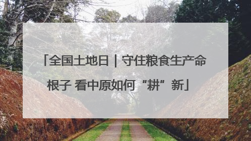 全国土地日｜守住粮食生产命根子 看中原如何“耕”新
